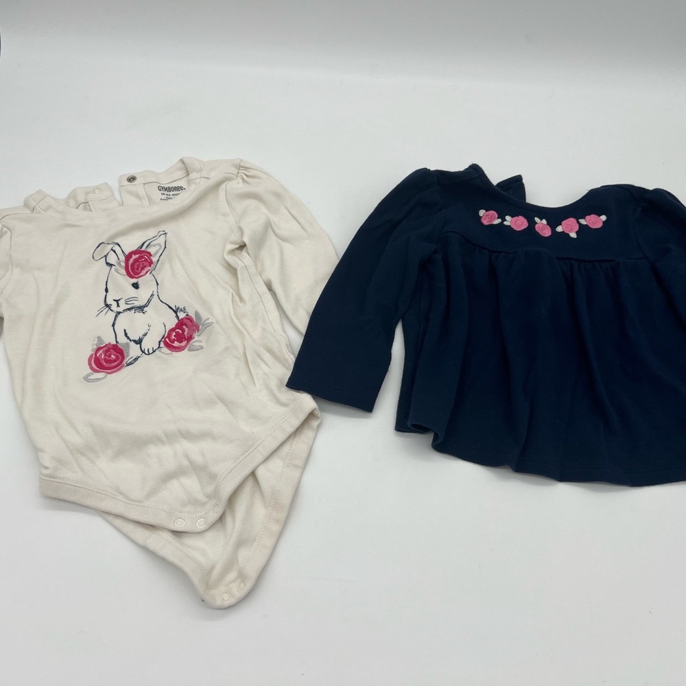 Gymboree Baby Girls Bunny Long Sleeve jumpsuit and Blue Floral Shirt 18-24 M